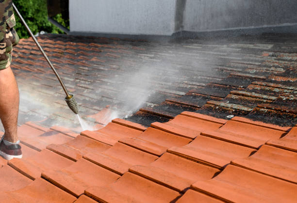 Best Pressure Washing Services Near Me  in Mary Esther, FL