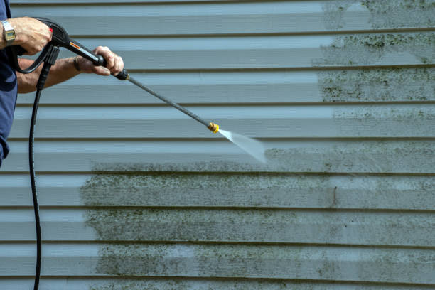 Best Roof Pressure Washing  in Mary Esther, FL