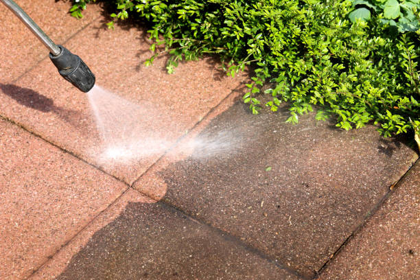 Best Pressure Washing Company Near Me  in Mary Esther, FL
